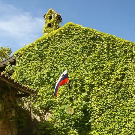 Karst House Mediteranean Slovenia
