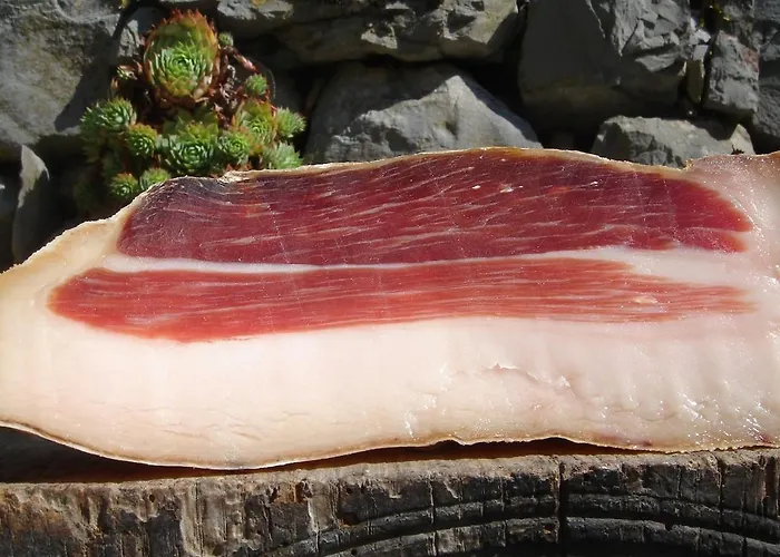 Karst House Mediteranean Slovenia *